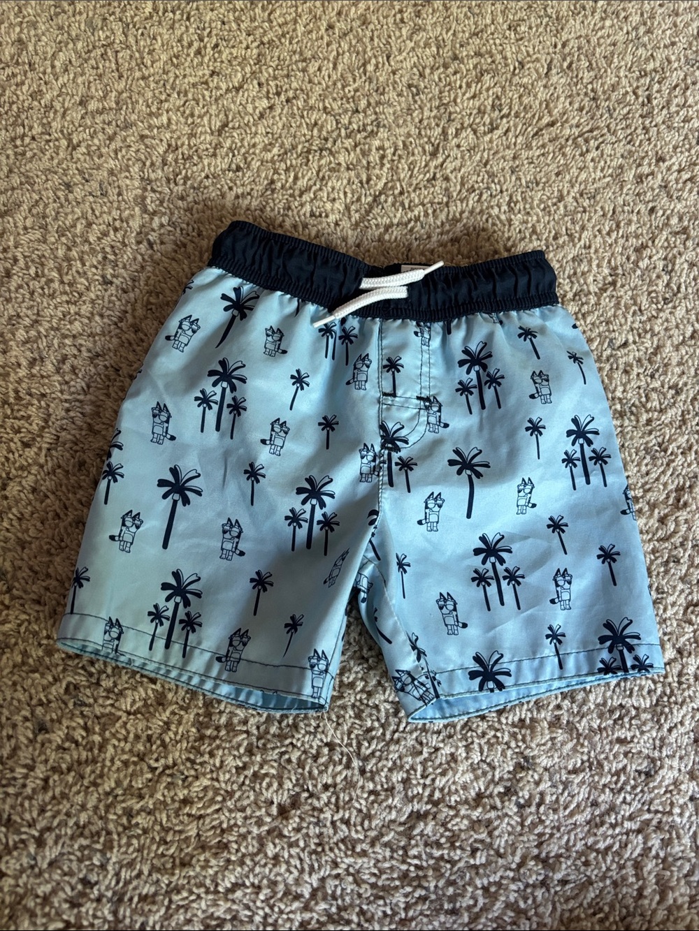 Boys Bluey Swim Shorts with Navy Waistband